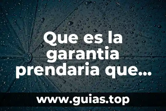 Que es un procedimiento segun la ley del procedimiento administrativo 5 Que es la garantia prendaria que ley las rige