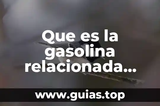Que es la quimica bioquimica concepto 7 Que es la gasolina relacionada con la química