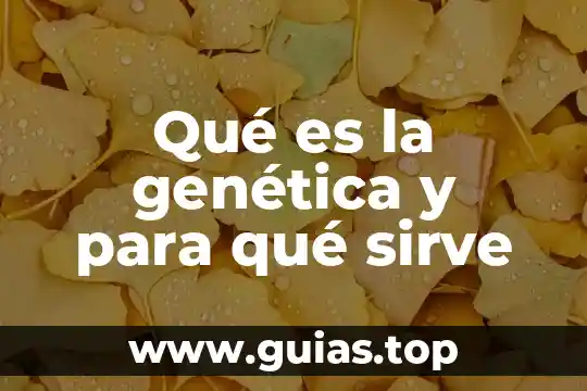 Qué es informática genética 6 Qué es la genética y para qué sirve