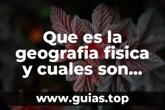 Qué es control y cuáles son los tipos de control 6 Que es la geografia fisica y cuales son sus disciplinas