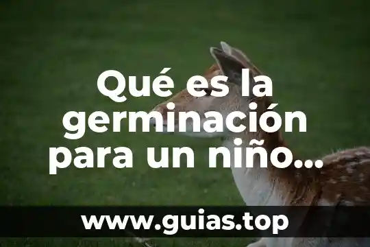 Que es un ser colectivo 5 Qué es la germinación para un niño de primaria