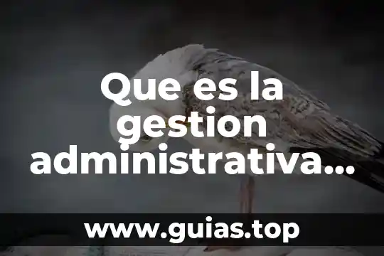 Que es el proceso contable wiki 7 Que es la gestion administrativa contable