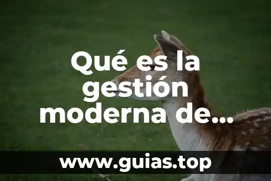 Qué es la novela moderna concepto 4 Qué es la gestión moderna de proyectos