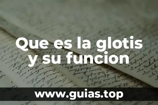 Que es una funcion y como se simboliza 7 Que es la glotis y su funcion