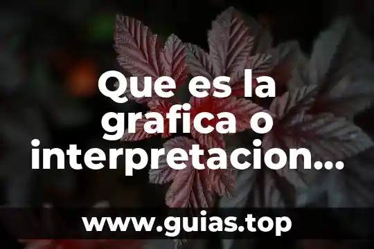 Que es el desarrollo de una figura geometrica 3 Que es la grafica o interpretacion geometrica de la derrivadas