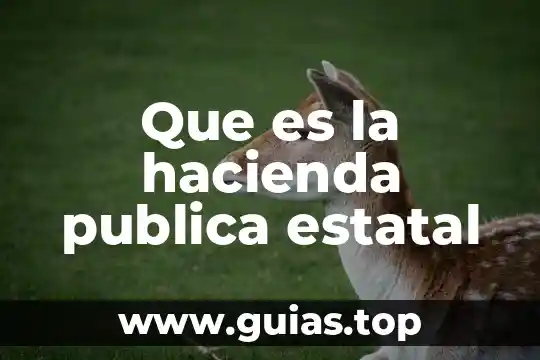 Qué es el instituto estatal del agua en Chiapas 6 Que es la hacienda publica estatal