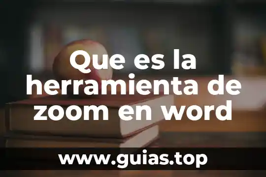 Qué es la auditoria y tipos 7 Que es la herramienta de zoom en word