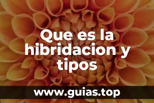 Qué es sinónimo y tipos 5 Que es la hibridacion y tipos
