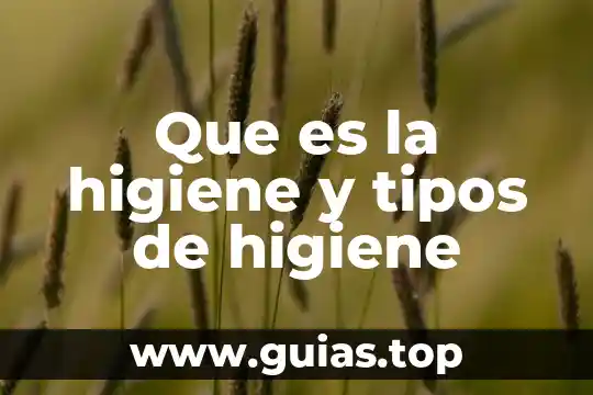 Que es una señal de seguridad e higiene 4 Que es la higiene y tipos de higiene