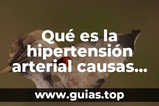 Qué es la hipertensión arterial causas signos y tratamiento