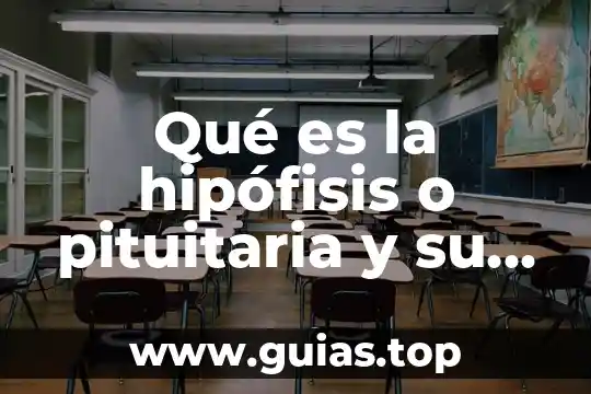 Que es la lejía planta 5 Qué es la hipófisis o pituitaria y su función