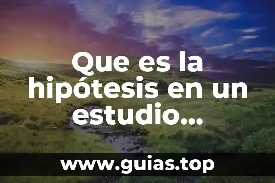 Que es pruebas de hipótesis aplicadas en el área administrativa 6 Que es la hipótesis en un estudio metodologia dela investigacion