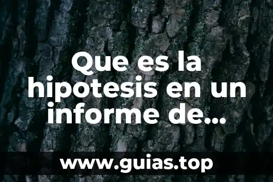 Que es pruebas de hipótesis aplicadas en el área administrativa 8 Que es la hipotesis en un informe de lectura
