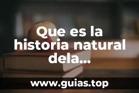 Río que es límite natural entre México y Guatemala 5 Que es la historia natural dela enfermedad de diabetes mellitus