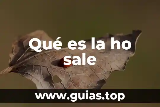 Qué es un animal vertebrado yahoo 3 Qué es la ho sale