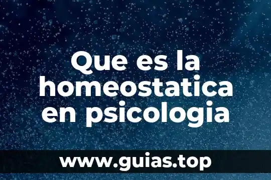 En la psicología que es el espejo 7 Que es la homeostatica en psicologia
