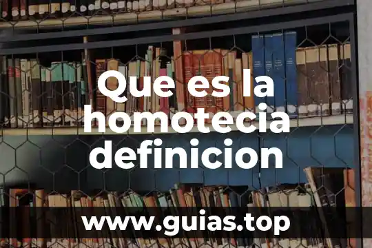 Lanzaderas que es y tipos 6 Que es la homotecia definicion