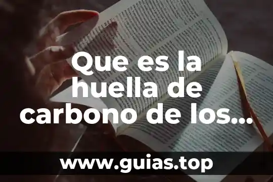 Que es la huella digital programas en internet informacion 8 Que es la huella de carbono de los alimentos