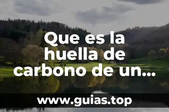 Que es la huella de carbono de los alimentos 5 Que es la huella de carbono de un proyecto arquitectonico