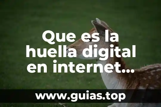 Que es la huella de carbono de los alimentos 4 Que es la huella digital en internet ursee