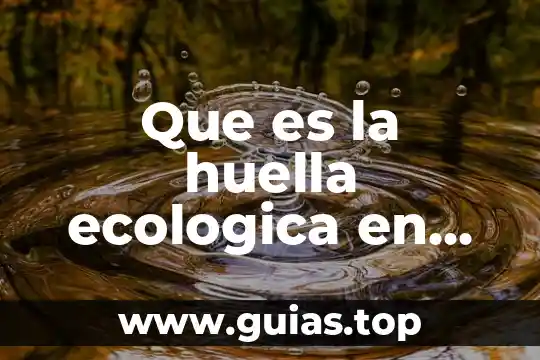 Que es pena de muerte en estados unidos 3 Que es la huella ecologica en estados unidos