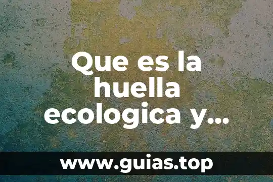 Qué es Titan Gel y sirve en verdad 3 Que es la huella ecologica y para que sirve
