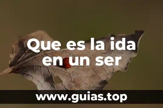 Que es ser tex mex 4 Que es la ida en un ser