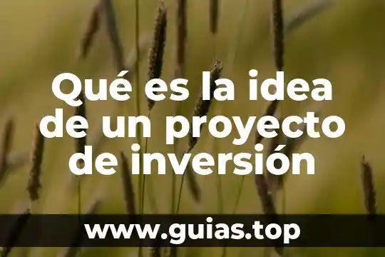 V que es una inversion extranjera directa ied 7 Qué es la idea de un proyecto de inversión