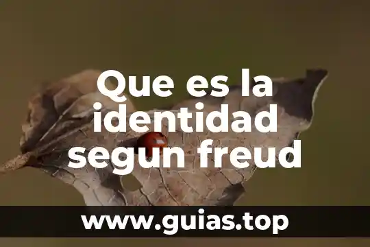 Qué es psicología según Sigmund Freud 6 Que es la identidad segun freud