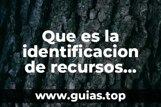 Que es el número de identificación de cuenta ivr 4 Que es la identificacion de recursos web