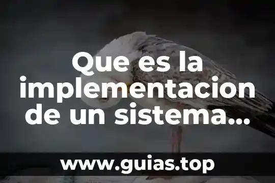 Que es el sistema de impartición de justicia en México 5 Que es la implementacion de un sistema automatizado
