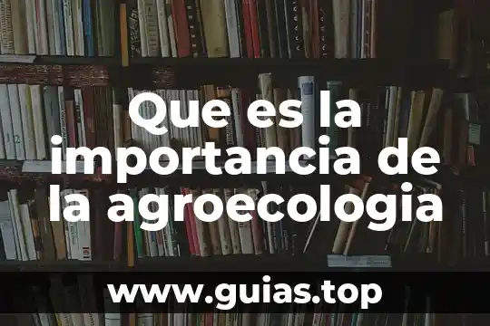 Que es soñar despierto e importancia 8 Que es la importancia de la agroecologia