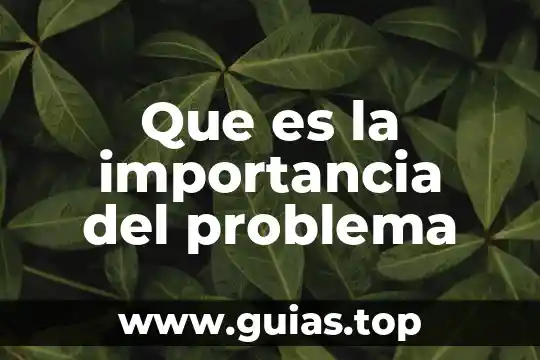 Admibisteacion que es un problema 7 Que es la importancia del problema