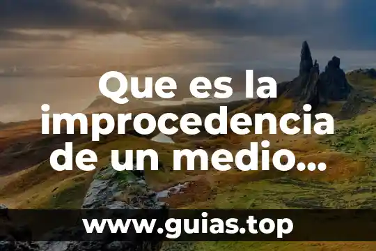 Que es medio geografia concepto 4 Que es la improcedencia de un medio de impugnacion