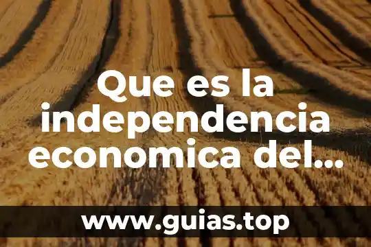 Qué es un número exterior 8 Que es la independencia economica del exterior