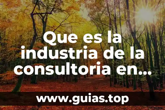 Que es un viaje y la industria de viaje 4 Que es la industria de la consultoria en mexico