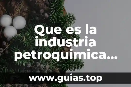 Que es ser anexado 3 Que es la industria petroquimica en mexico