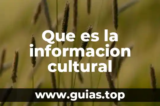 Por que es importante conocer los tipos de informaci贸n 3 Que es la informacion cultural