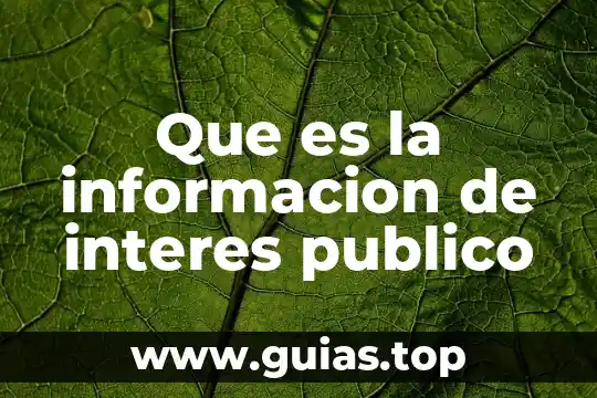 Que es el prosesamiento de informacion 5 Que es la informacion de interes publico