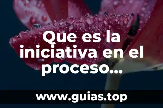Que es proceso repetible 4 Que es la iniciativa en el proceso legislativo