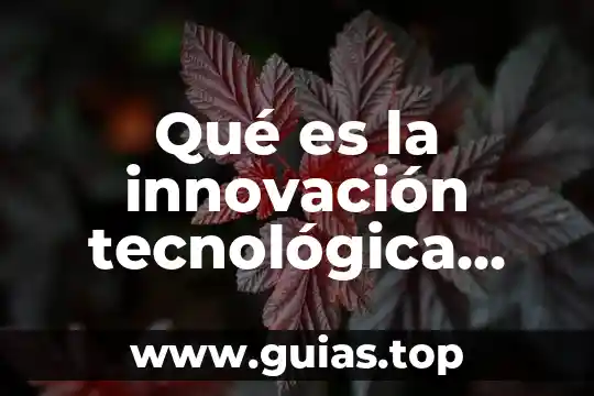 Que es regazo digital 6 Qué es la innovación tecnológica digital