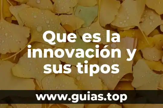Qué es la familia y tipos de familia explicación 5 Que es la innovación y sus tipos