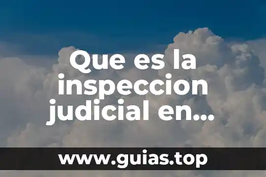 Que es principio etico y un ejemplo 8 Que es la inspeccion judicial en materia civil ejemplo