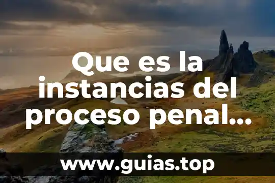 Que es la instancias del proceso penal en mexico