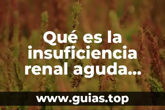 Qué es un cólico renal síntomas causas 3 Qué es la insuficiencia renal aguda causas