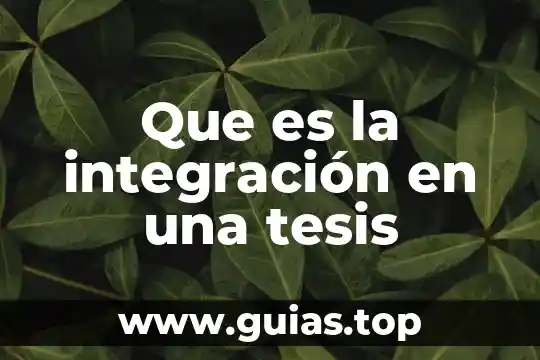 Que es integracion de la marca 4 Que es la integración en una tesis