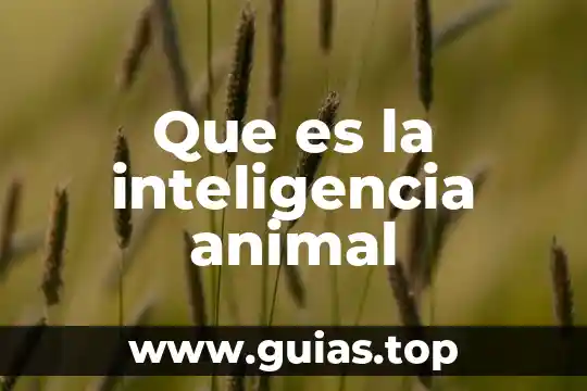 Que es un animal en peligro de extinciones 3 Que es la inteligencia animal