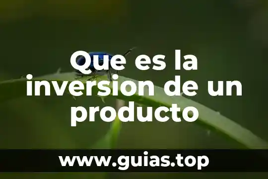 Que es un tren de tratamiento de agua 5 Que es la inversion de un producto