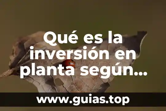 Que es el activo segun las nif 6 Qué es la inversión en planta según las NIF