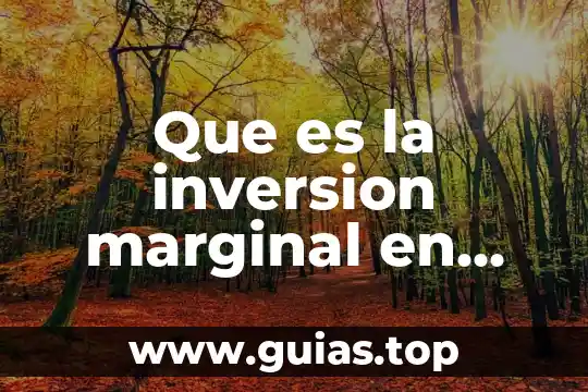 Comunidad marginal que es 5 Que es la inversion marginal en cuentas por cobrar